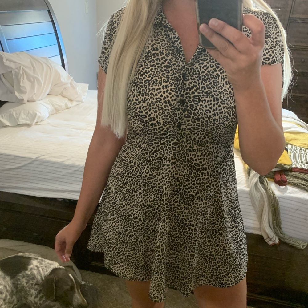 Free people size 6 leopard collared button dress